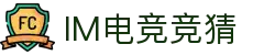 IM(股份有限公司)电竞-电子竞技平台